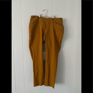 Mustard dress pants